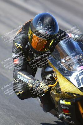 media/Jan-14-2024-SoCal Trackdays (Sun) [[2e55ec21a6]]/Turn 12 Inside (945am)/